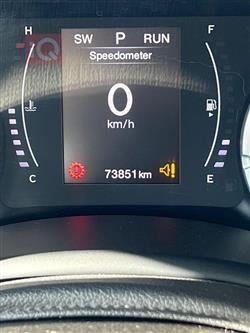 جيب رينيجيد